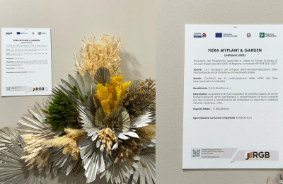 PARTECIPAZIONE AL BANDO DI SVILUPPO PER L'INTERNAZIONALIZZAZIONE DELLE IMPRESE LOMBARDE