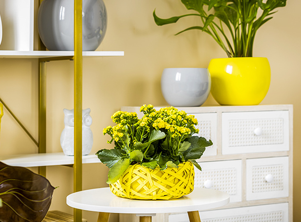 2 festa della donna 2 festa della donna