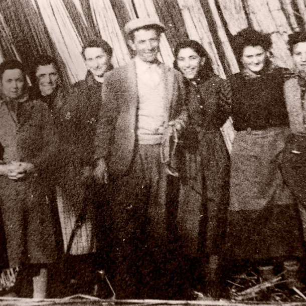 3 RGB STORIA.jpeg 3 RGB STORIA.jpeg