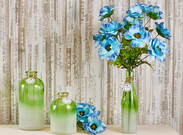 festa del papa festa del papa