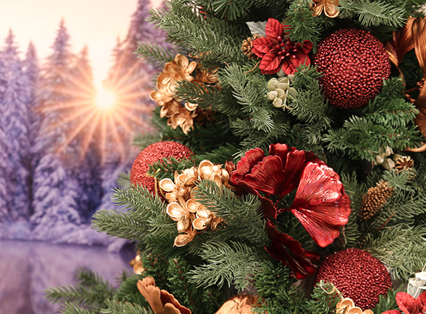 vetrina bordeaux vetrina bordeaux